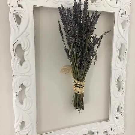 Couette-café L'aurora