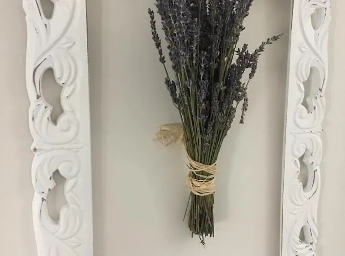 住宿加早餐酒店 L'aurora